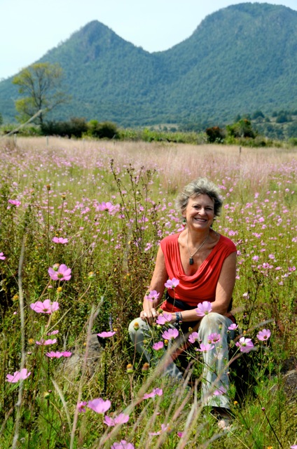 Field near Cuanejo Michoacan.jpeg