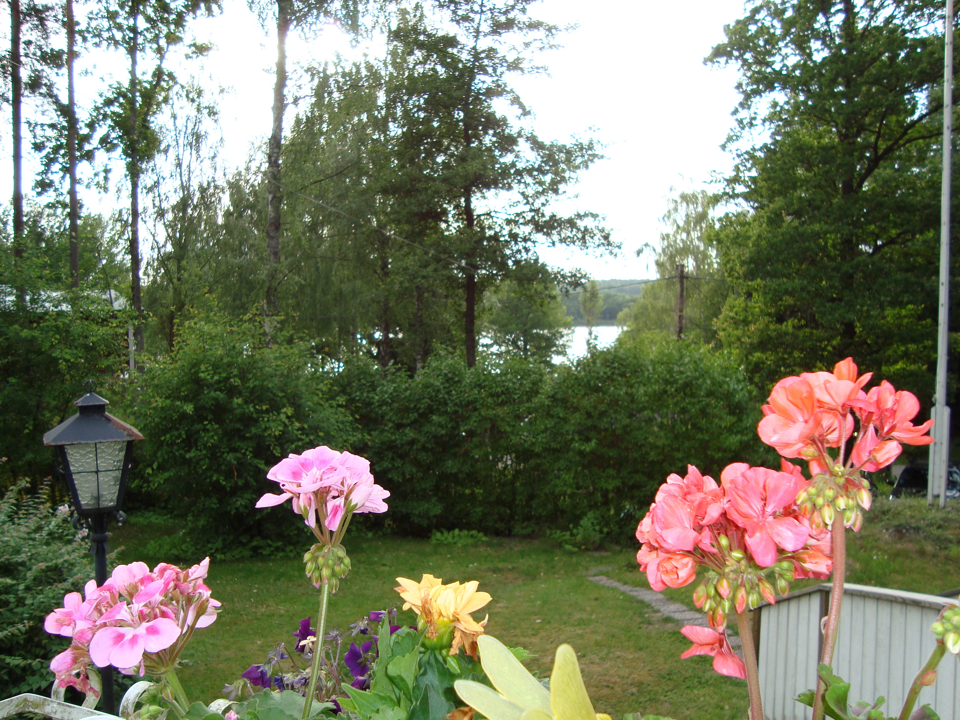 Vidja Cottage Lakeview from terrace