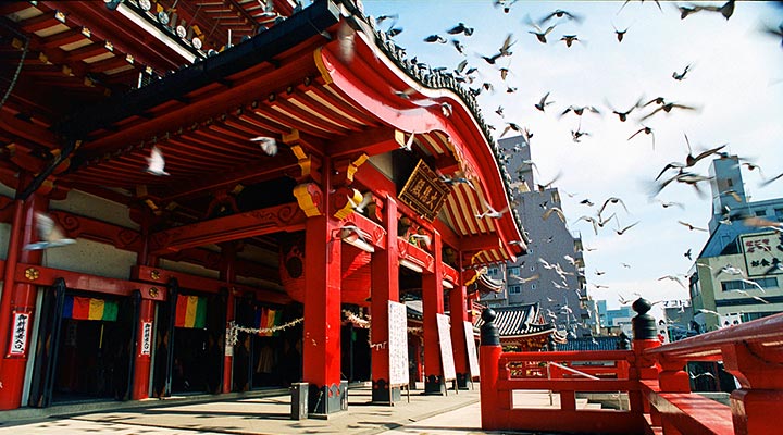 live-japan-nagoya-osu-kannon-temple